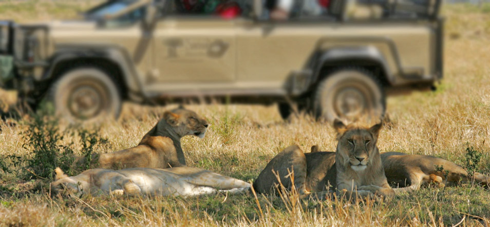Saruni-mara.jpg